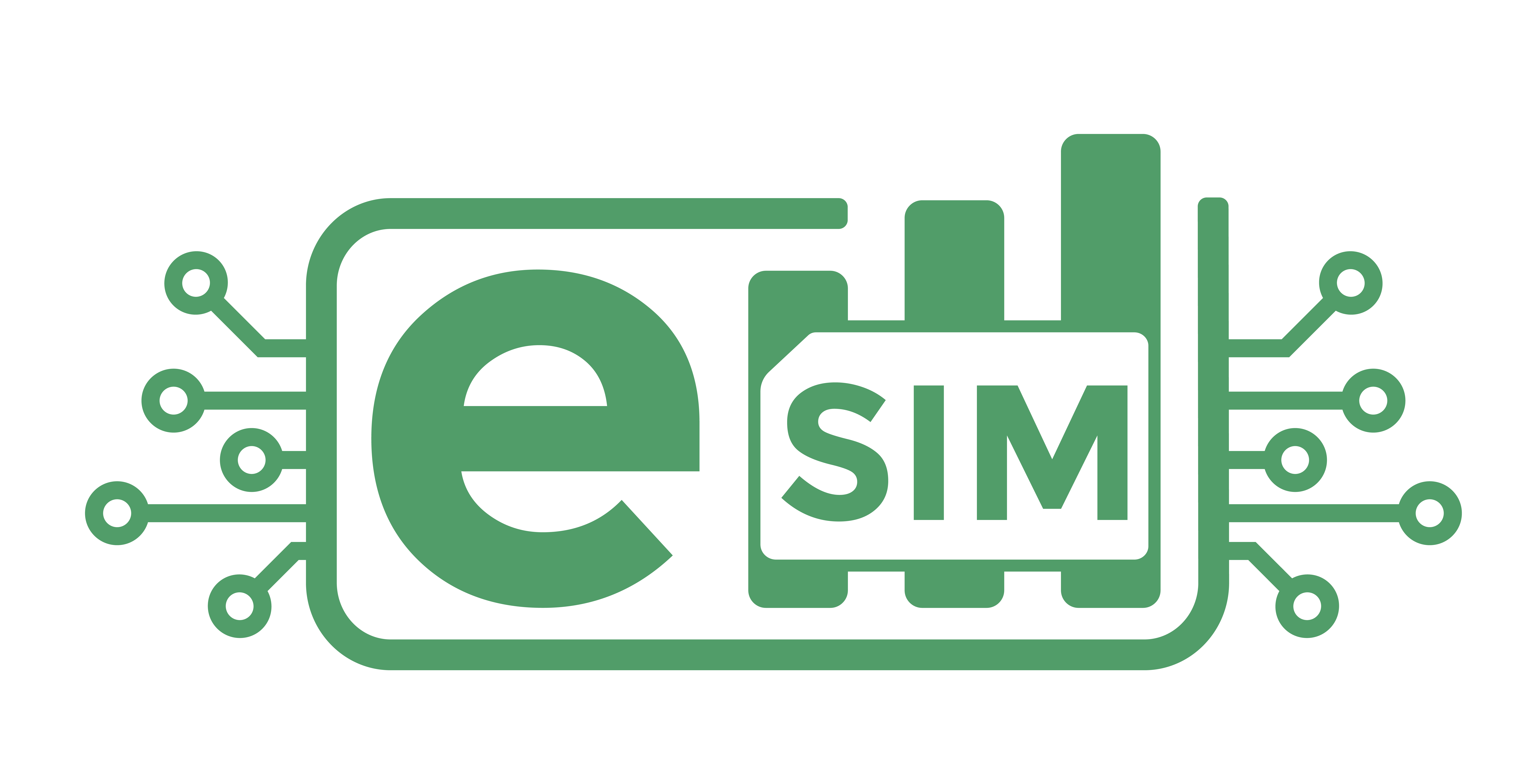 Best eSim New Zealand Official Logo